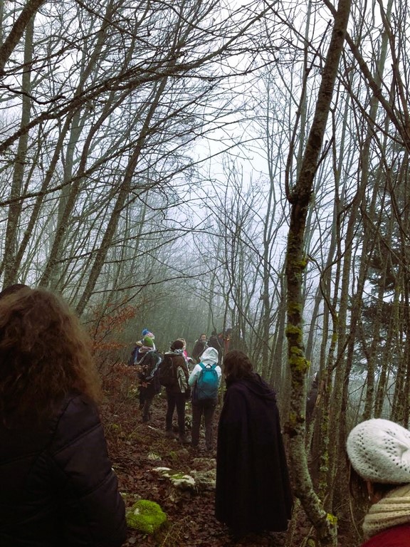 Balade elfique groupe