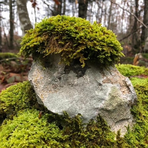 balade elfique rocher